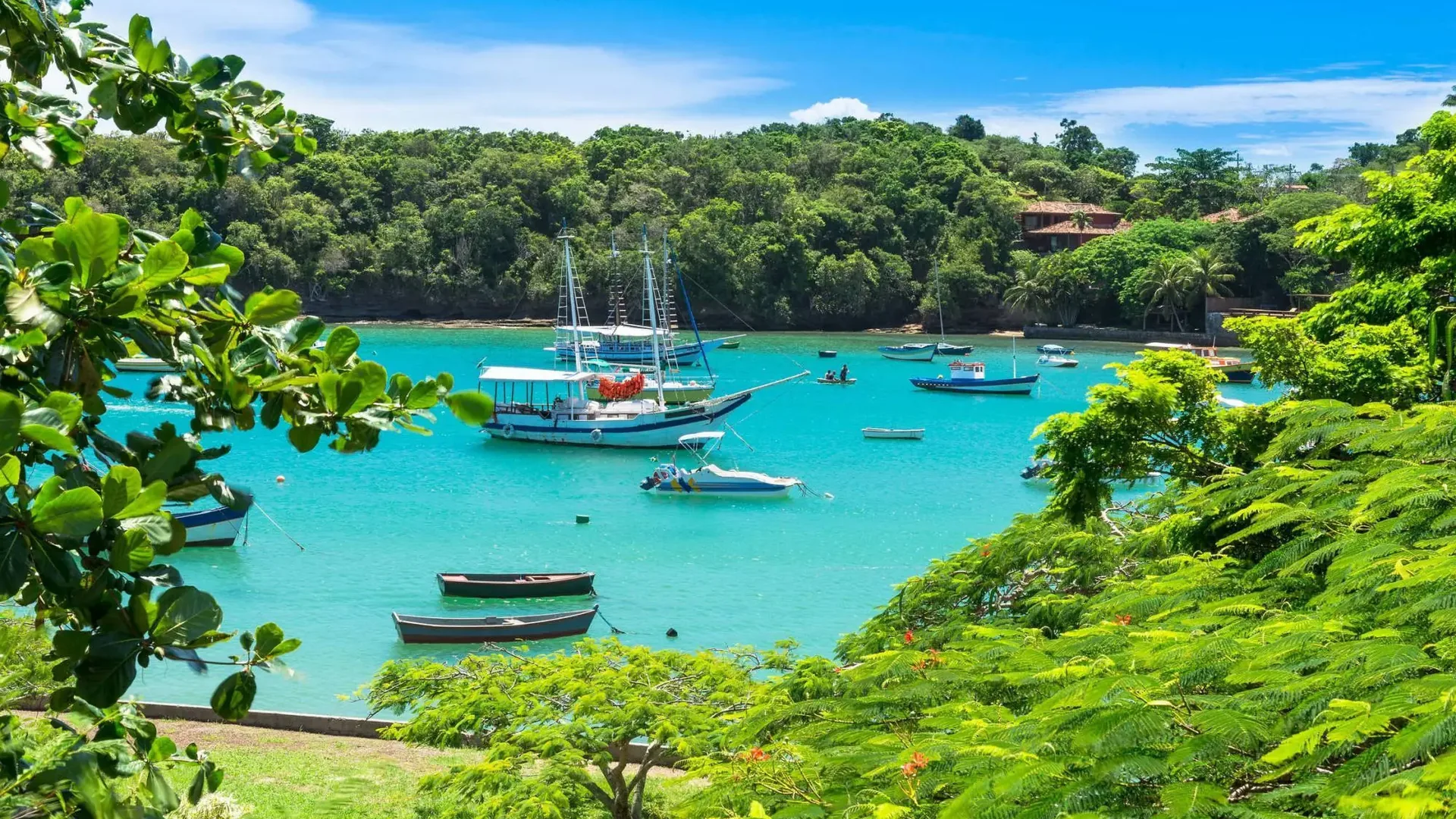 Enseada de Búzios com mar turquesa, escunas e barcos de pescadores ancorados, emoldurada por vegetação tropical